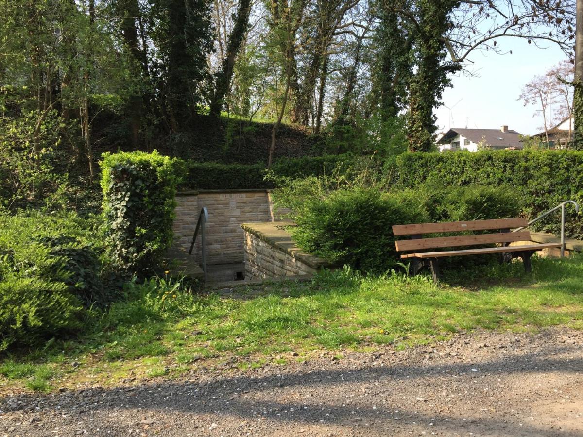Alte Schule Wachenheim Im Zellertal Apartment *