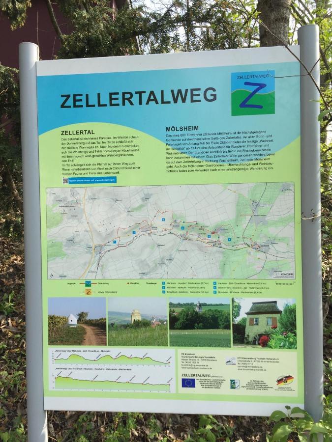 Alte Schule Wachenheim Im Zellertal
